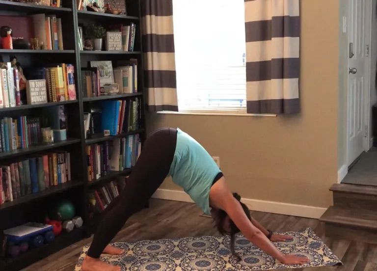 https://image-api.loseitblog.com/images/downward-dog.jpeg