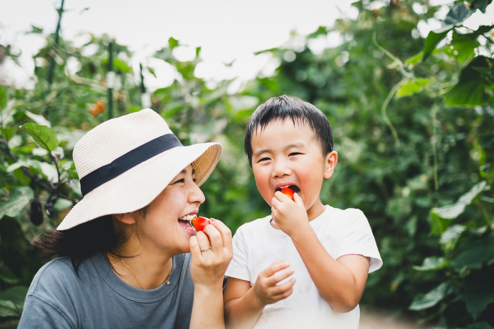 Mother and son eating tomato in the fields